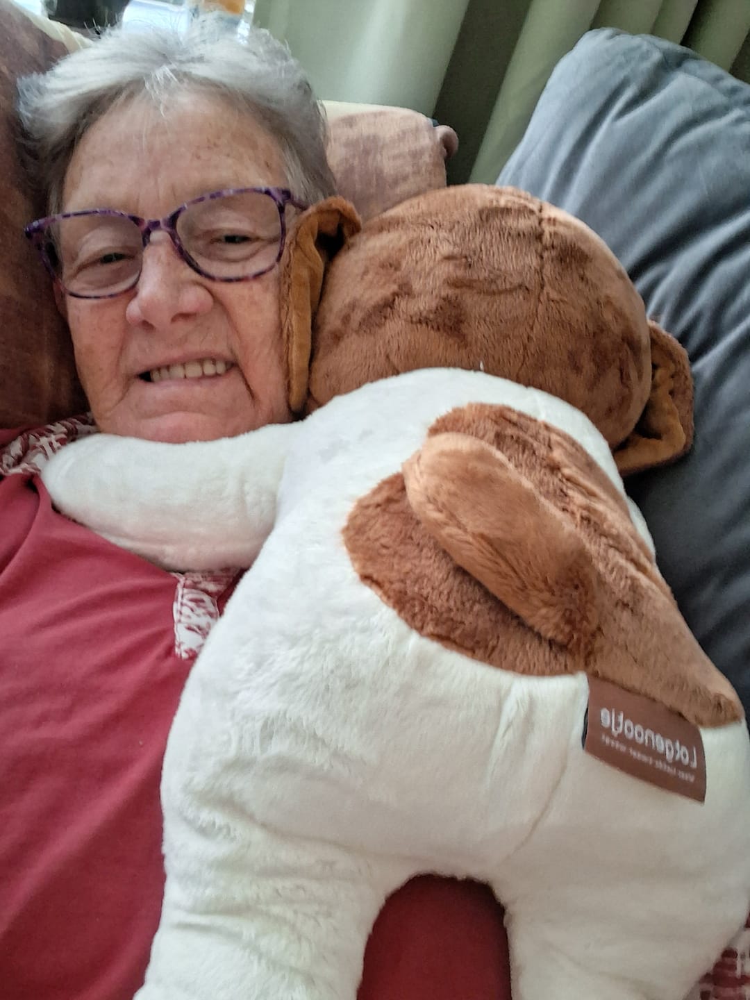 Customer photo review of Lotgenootje Panda 2kg