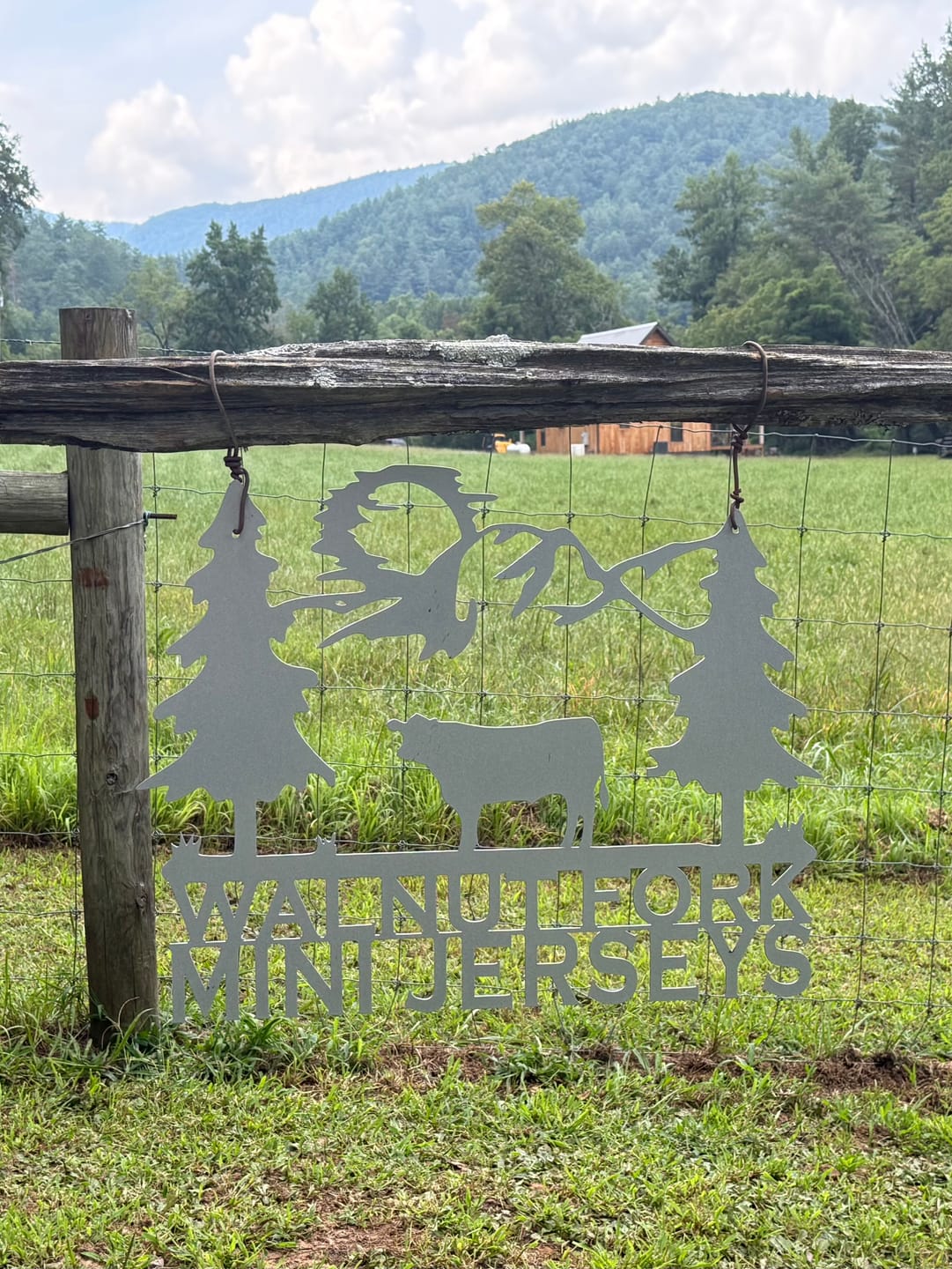 Customer photo review of Rustic Alpine Tree w Animal Farmhouse Signs