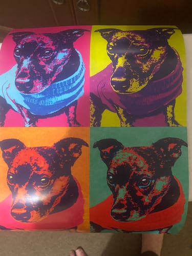 Customer photo review of Personalised Poster With Dog or Cat - Colour Squares