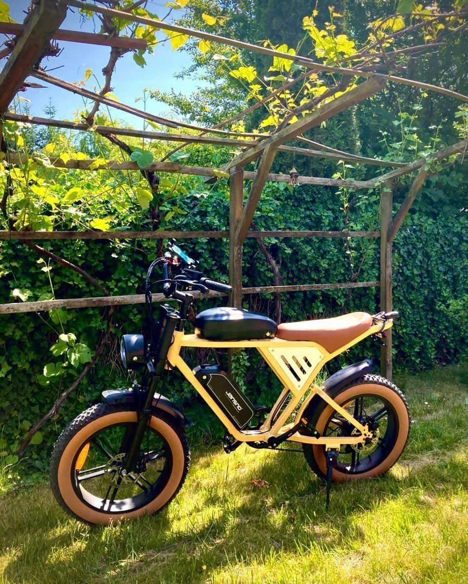 Customer photo review of JANSNO X70 Dual Battery Electric Bike
