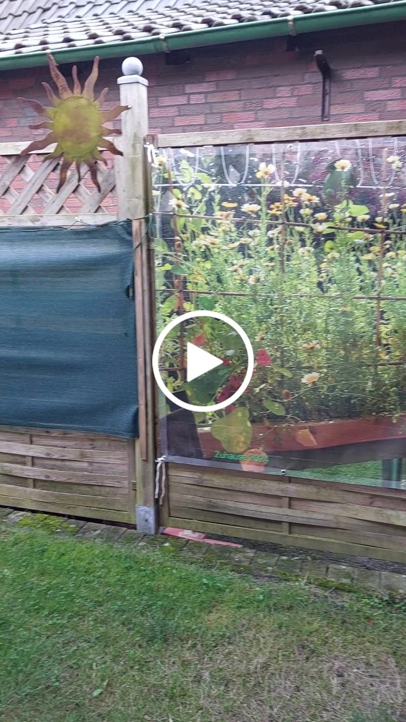 Customer video review of Plane inkl. Druck