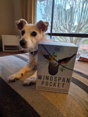 Customer photo review of Wingspan Pocket