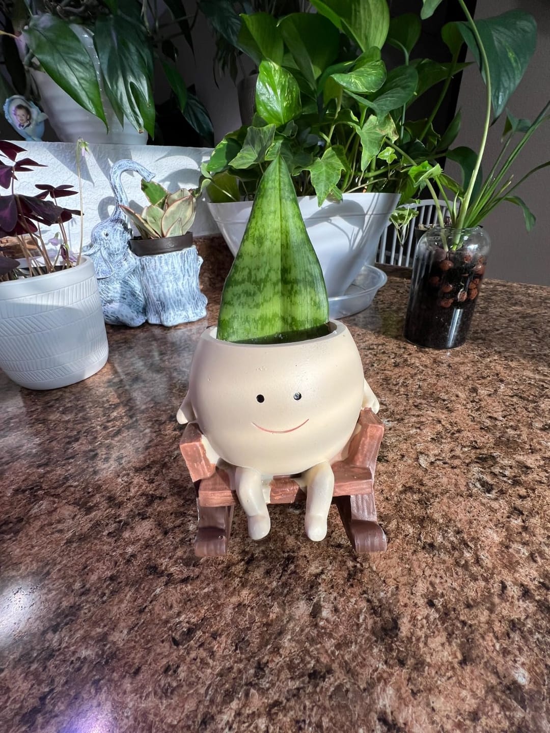 Customer photo review of Infinity™ Plant Pot