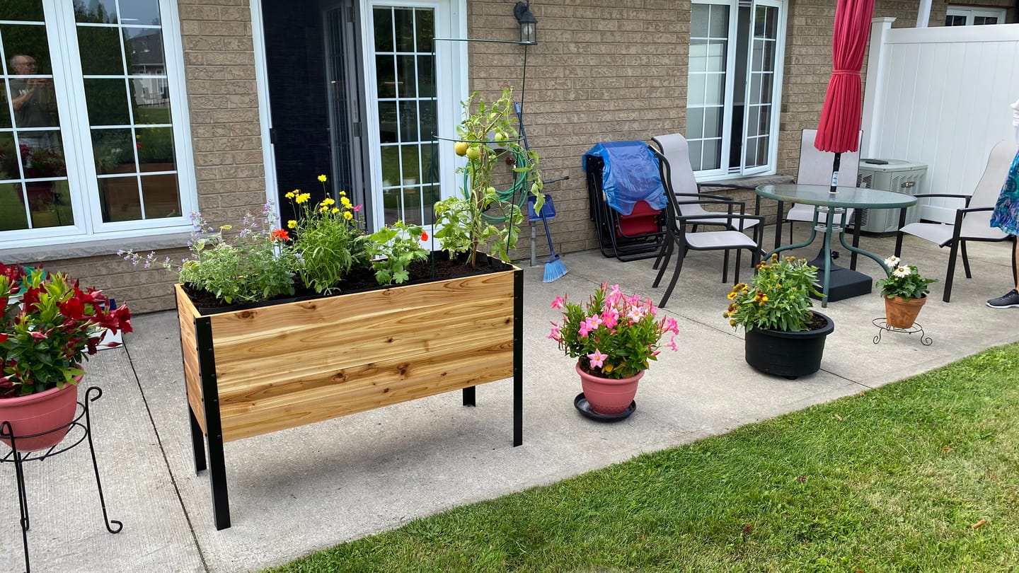 Customer photo review of 18" x 48" Raised Garden Bed - 30" TALL - Select Grade