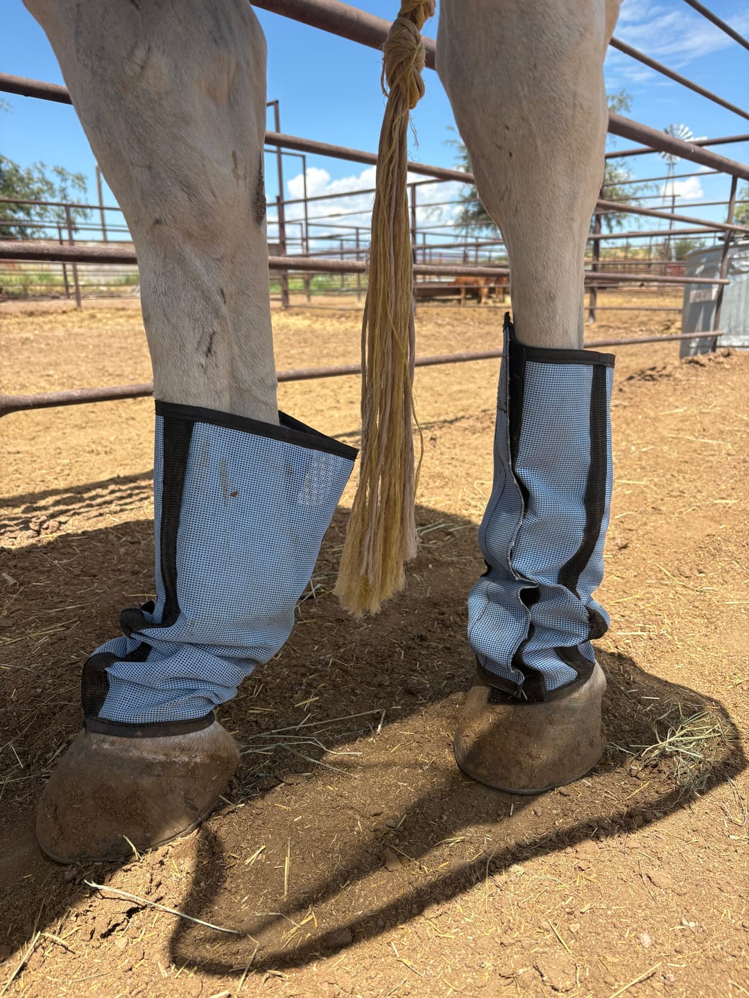 Customer photo review of The FlyBlock Boots