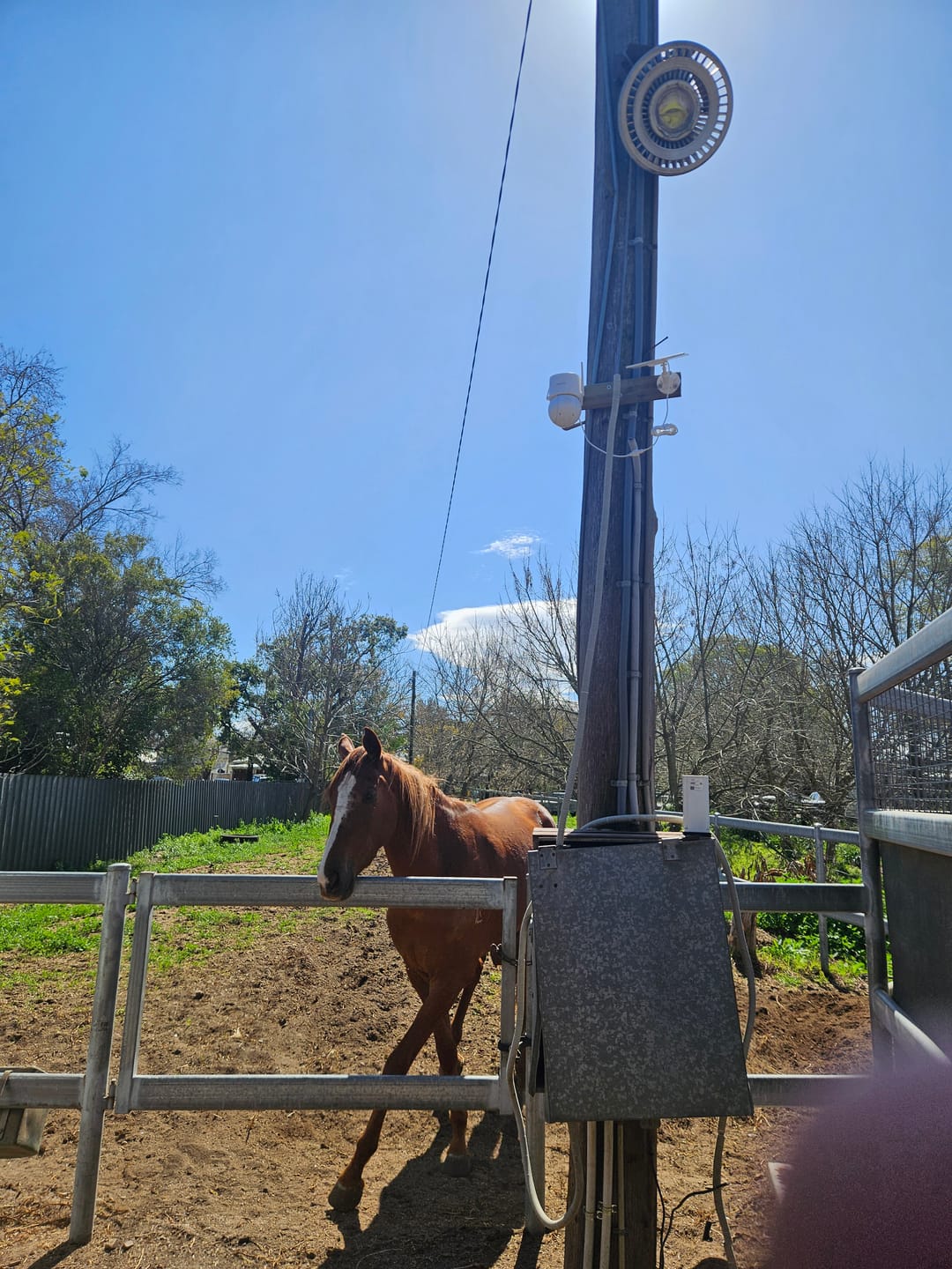 Customer photo review of Solar Camera Pro 3.0 WIFI®