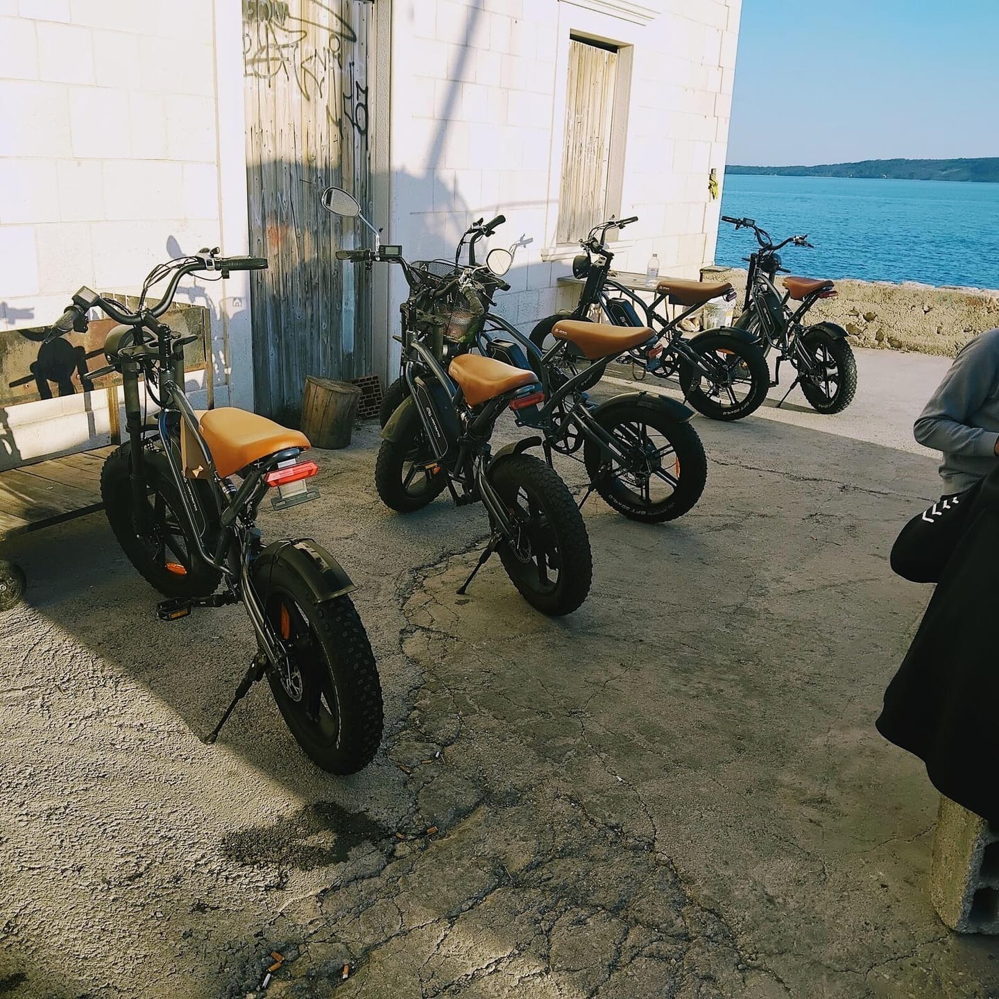 Customer photo review of JANSNO X50 Fat Tire Electric Bike