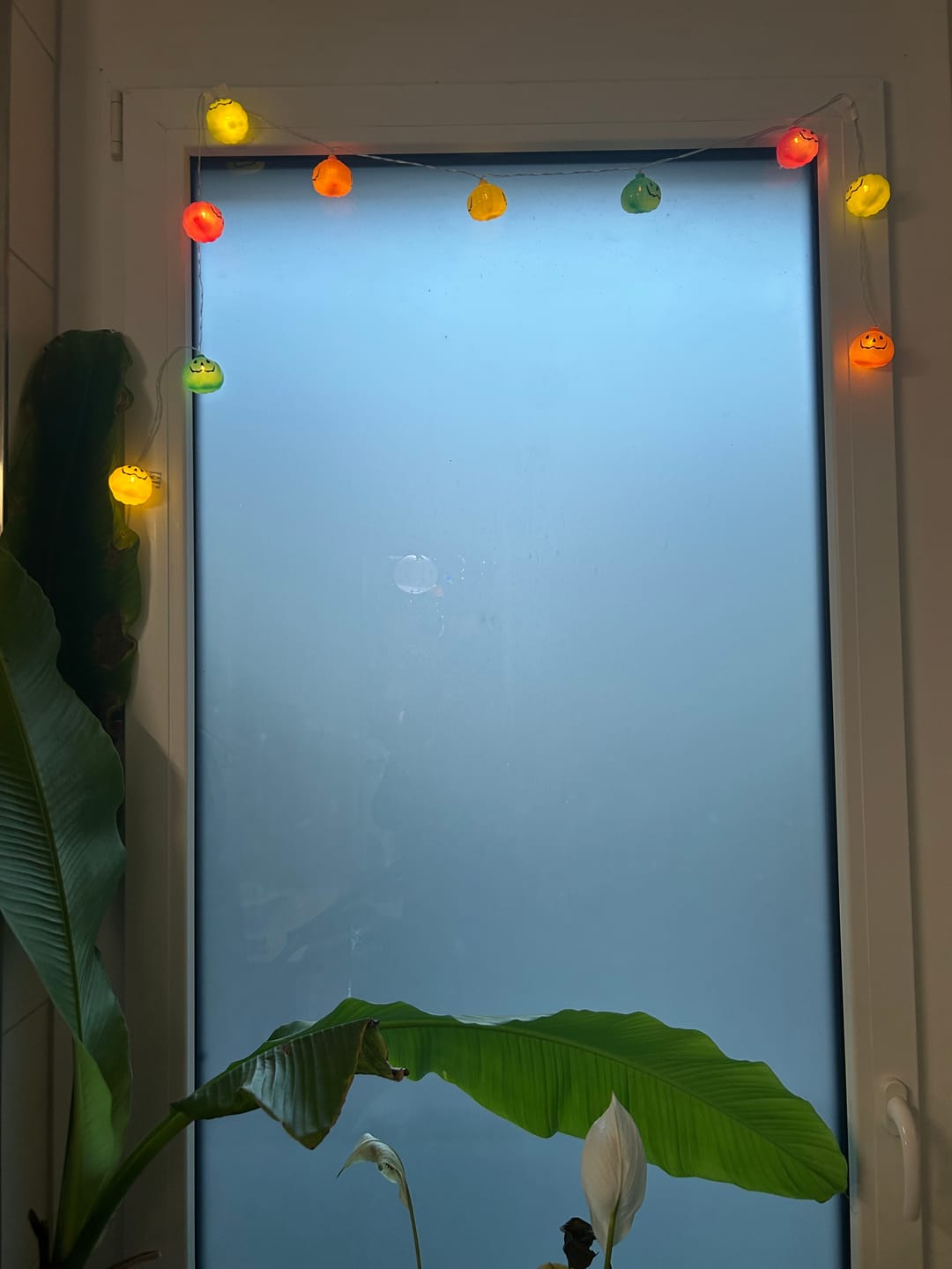 Customer photo review of Bunte Kürbis-Lichterkette – Summerween Dekobeleuchtung