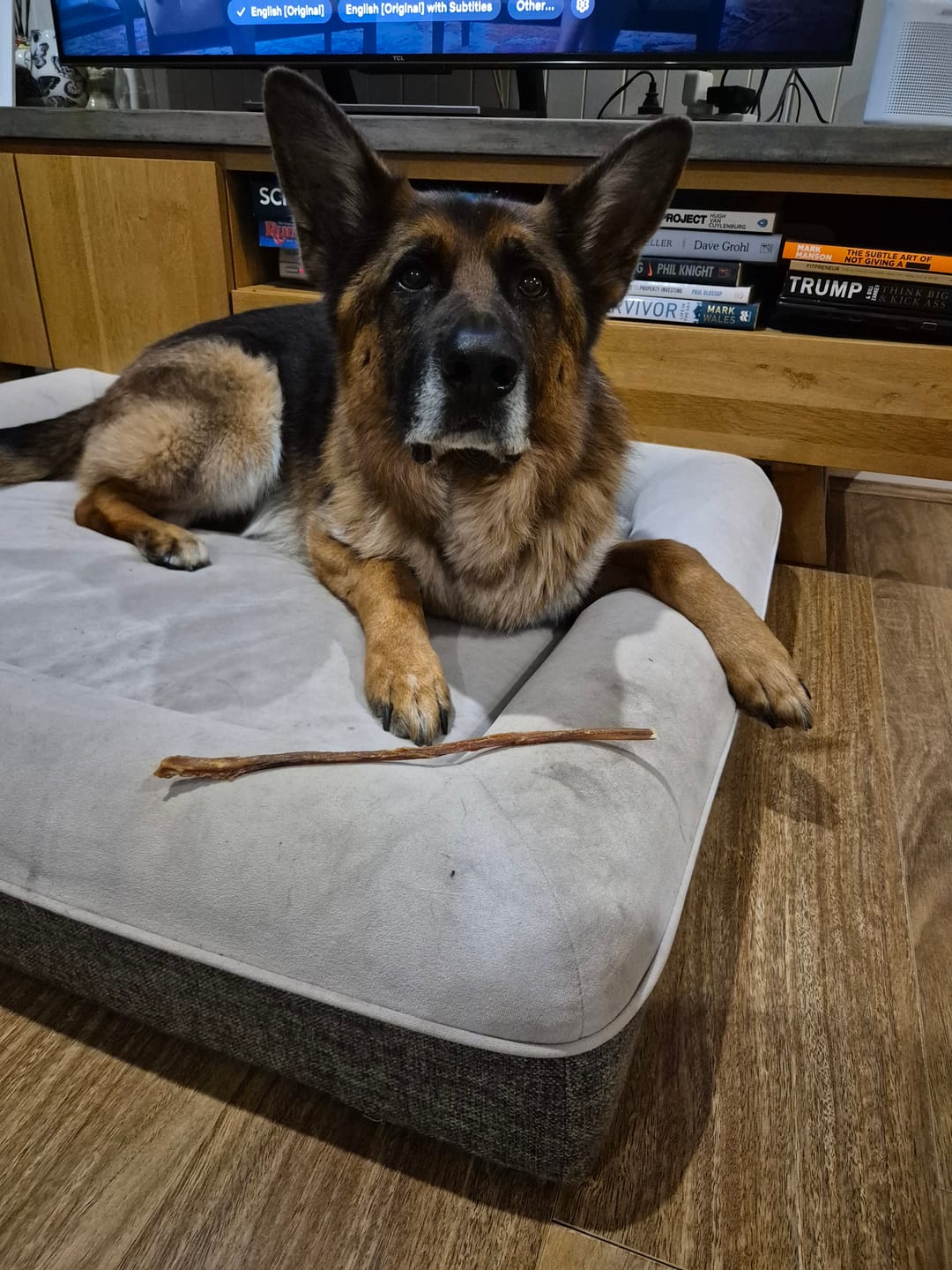 Customer photo review of Pizzle Stix (1kg pack)