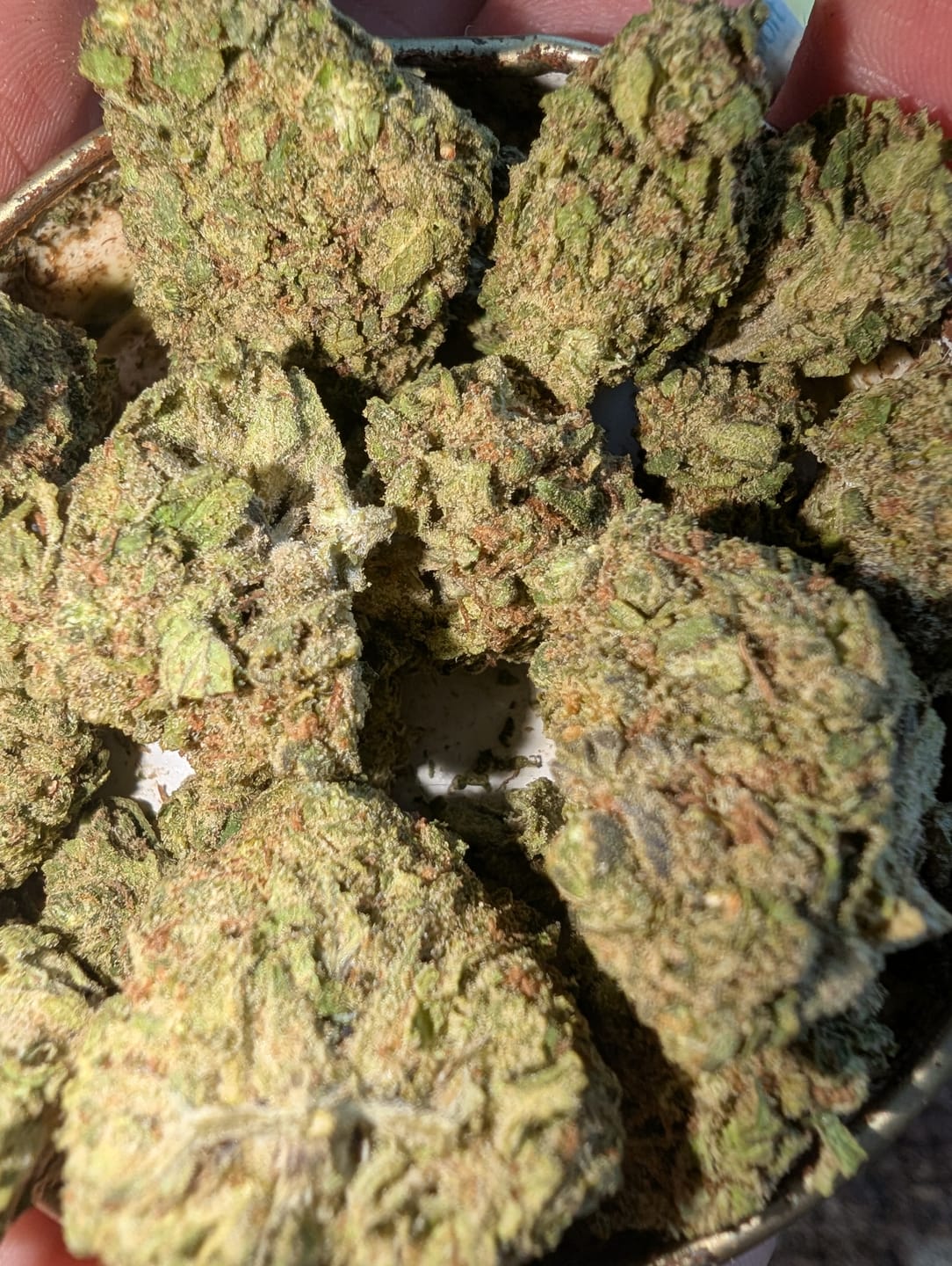 Customer photo review of Frozen Lemons THCA Flower