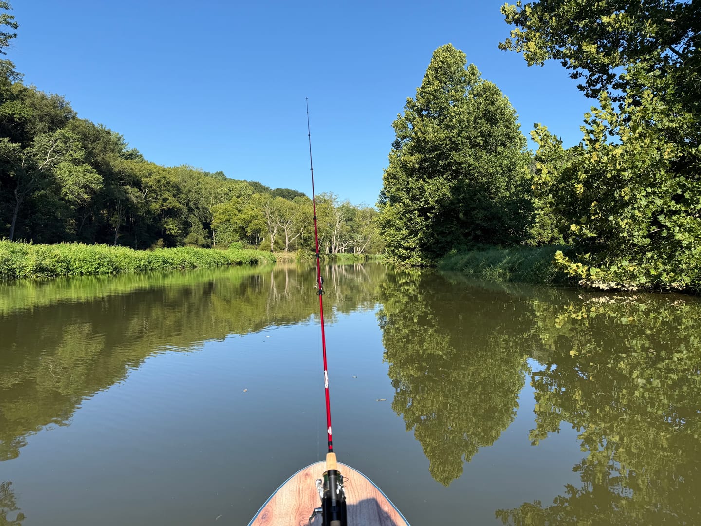 Customer photo review of Elite Universal Paddle Board Mount (Choose Accessories)