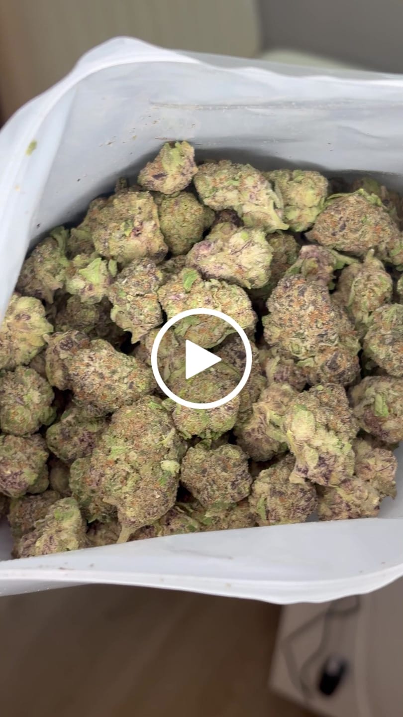 Customer video review of Satsuma Sherb (Value Indoor) – Bulk THCA Flower 1 lb