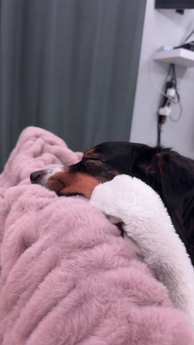 Customer photo review of Milk Chocolate Mauve Minky Blanket