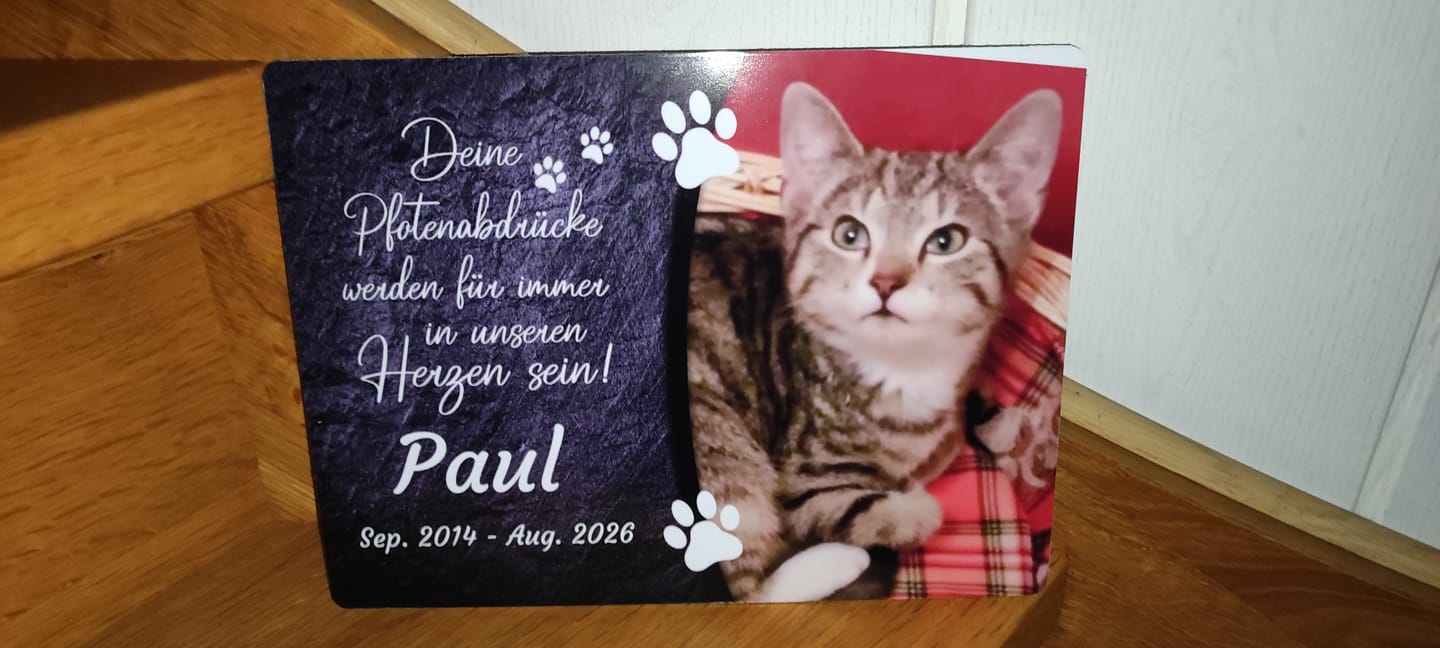 Customer photo review of Katzen Gedenktafel mit Foto & Spruch (UV- & Wetterfest)