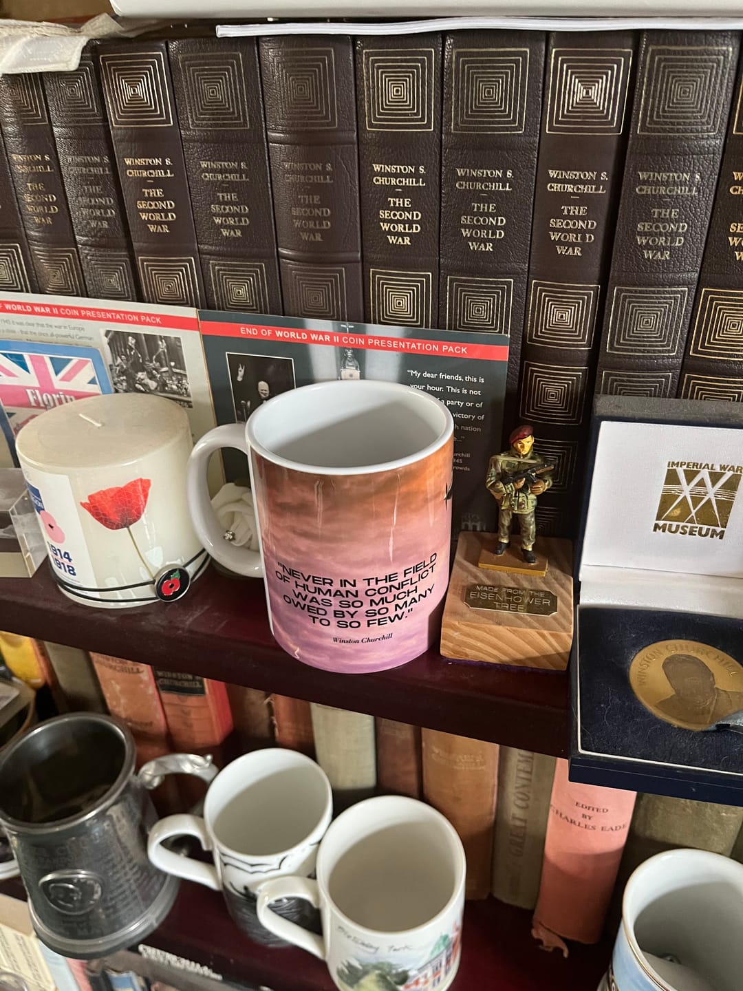 Customer photo review of Battle of Britain Mug