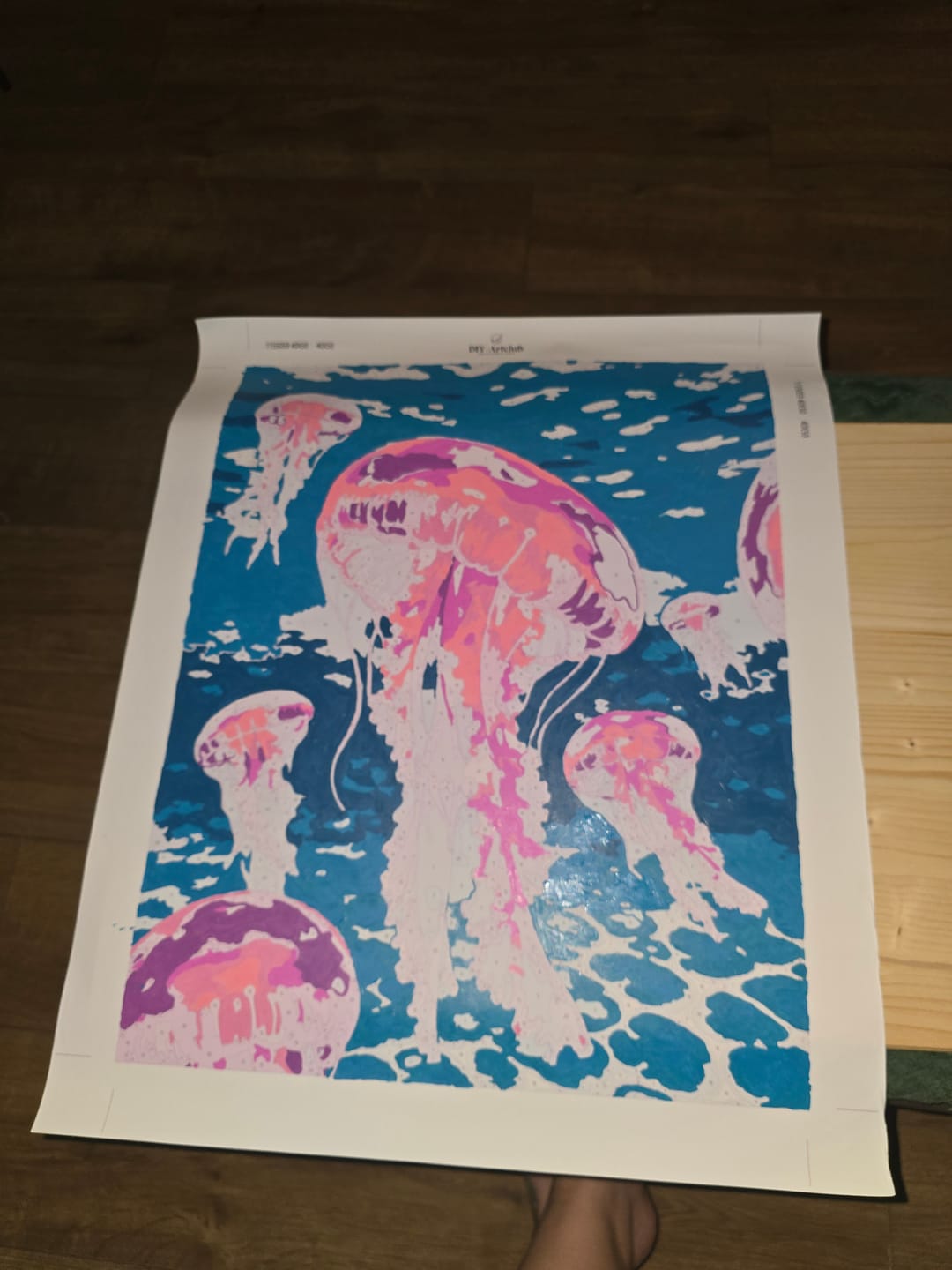 Customer photo review of Pink Jelly Fishes | Paint by Number