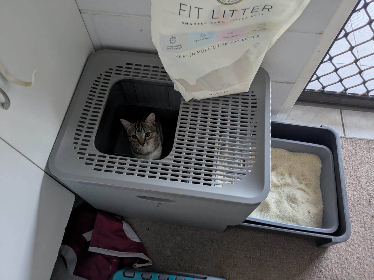 Customer photo review of Fit Litter