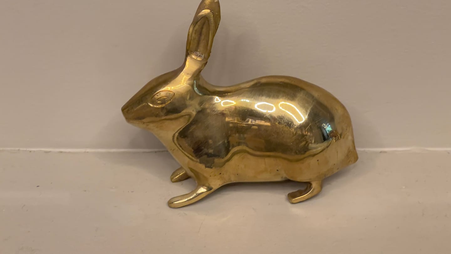 Customer photo review of Golden Rabbit Brass Idol – Auspicious Vastu Remedy for Wealth Attraction & Prosperity | Ideal for North Direction, Office Desk & Home Entrance | 13 x 4.5 x 11.5 cm | 670 g