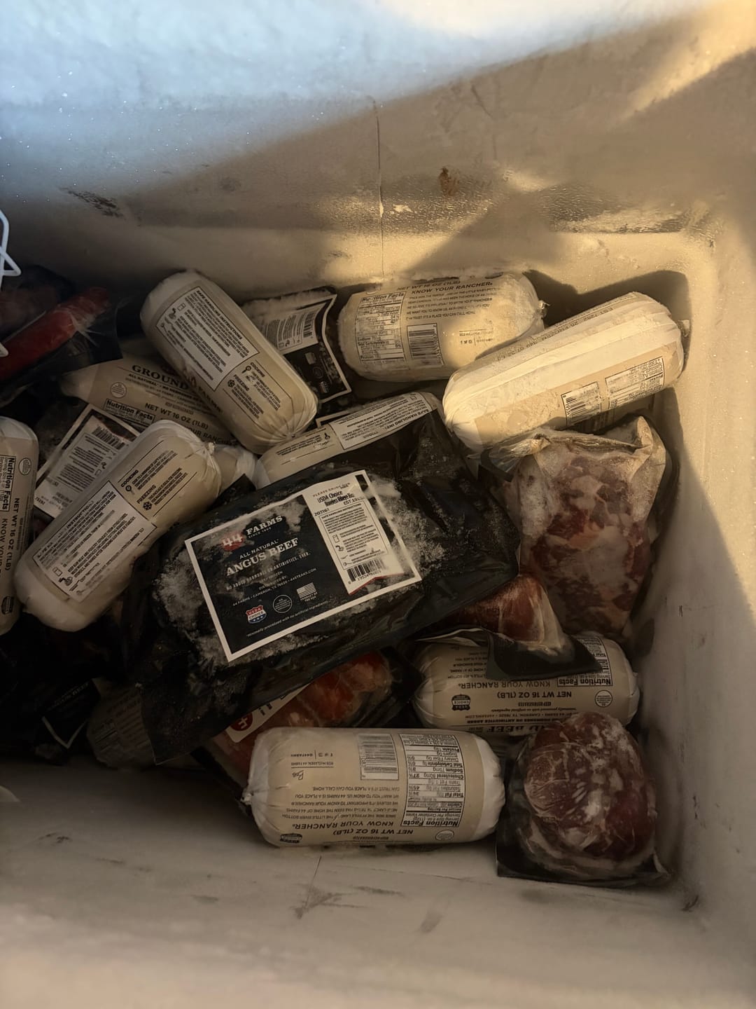Customer photo review of Quarter (1/4) Cow