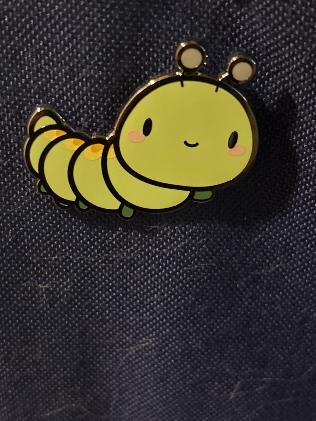 Customer photo review of Happy Caterpillar Pin