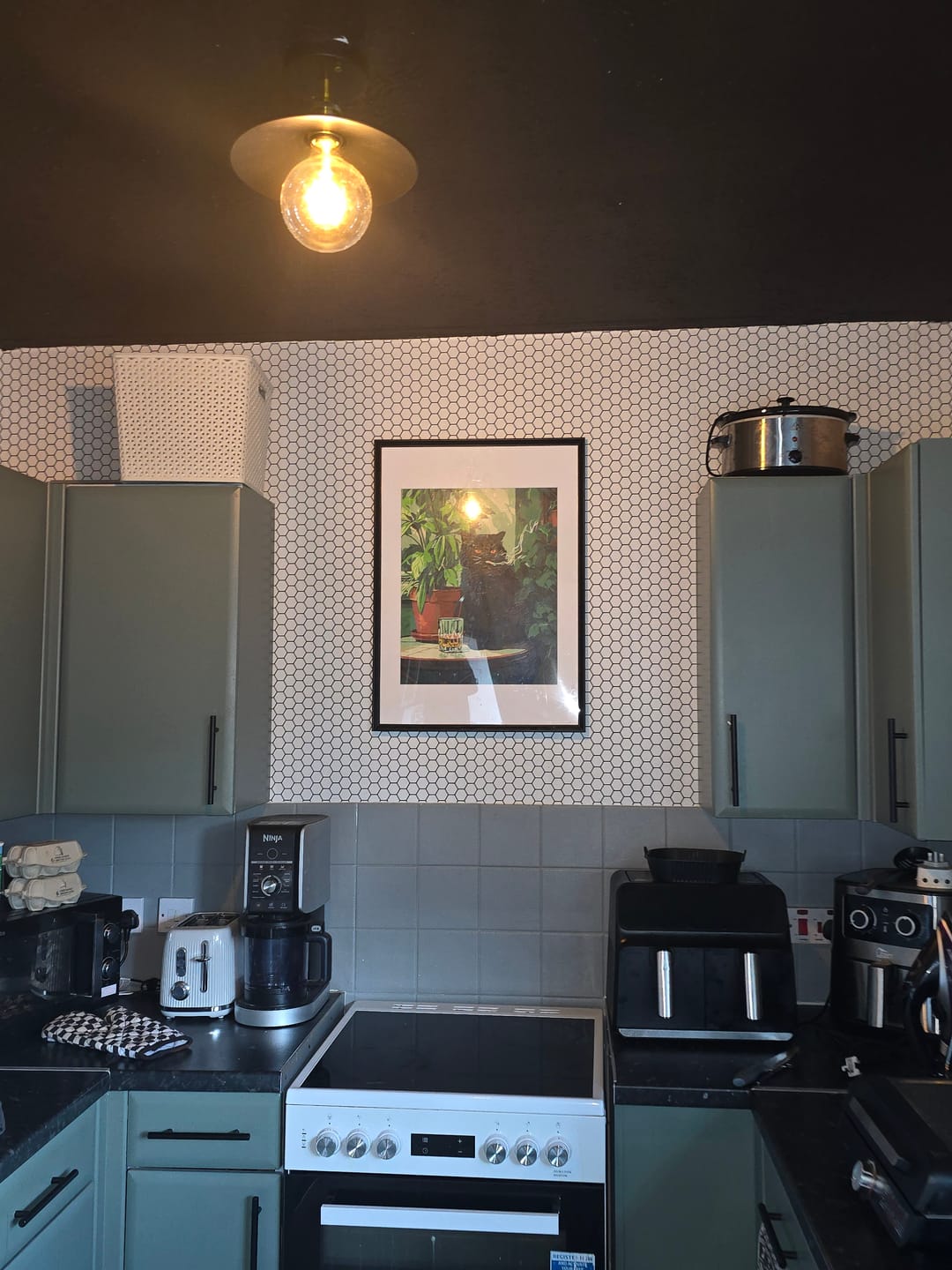 Customer photo review of Grumpy cat | Paint by Number