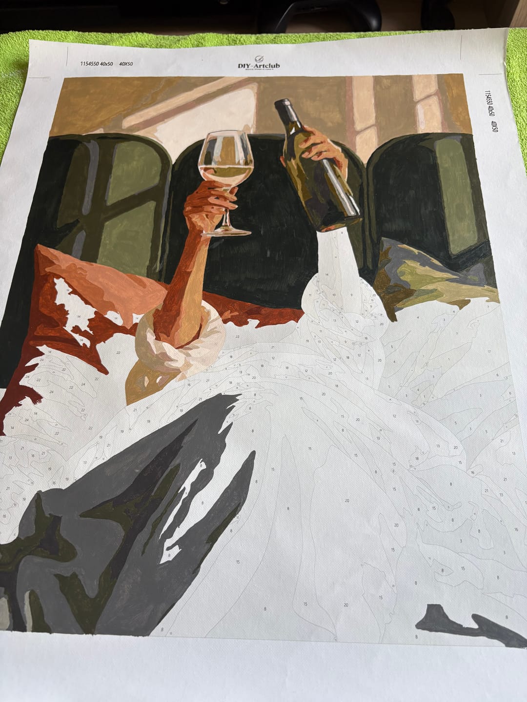 Customer photo review of Wine in Bed | Paint by Number