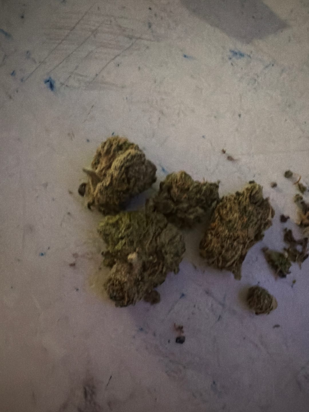 Customer photo review of Gary Payton - Minis - 14 Grams - Hybrid