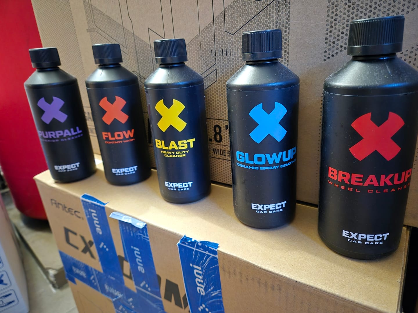 Customer photo review of Beginner Kit