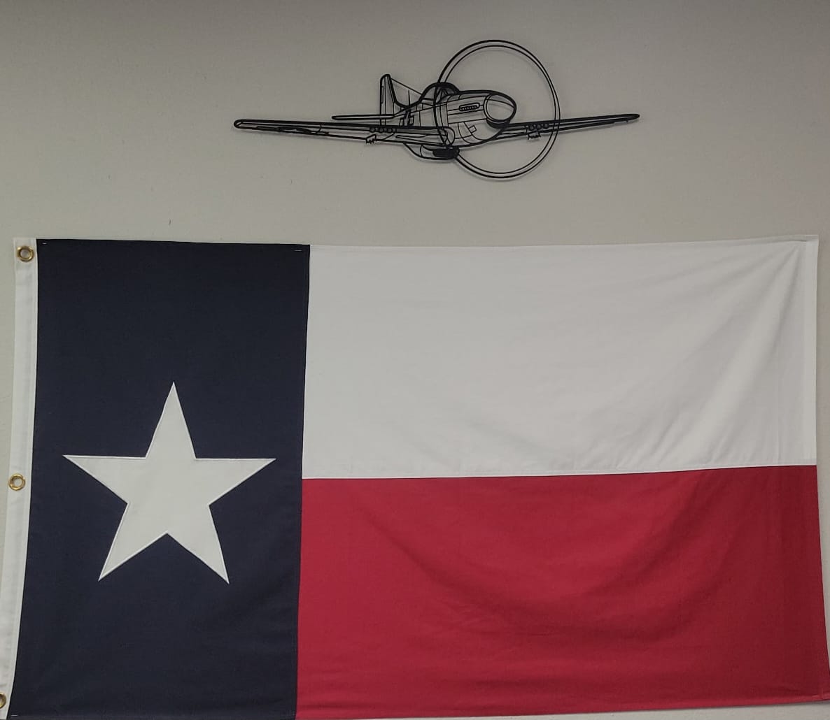 Customer photo review of P-51 Mustang Silhouette Metal Wall Art