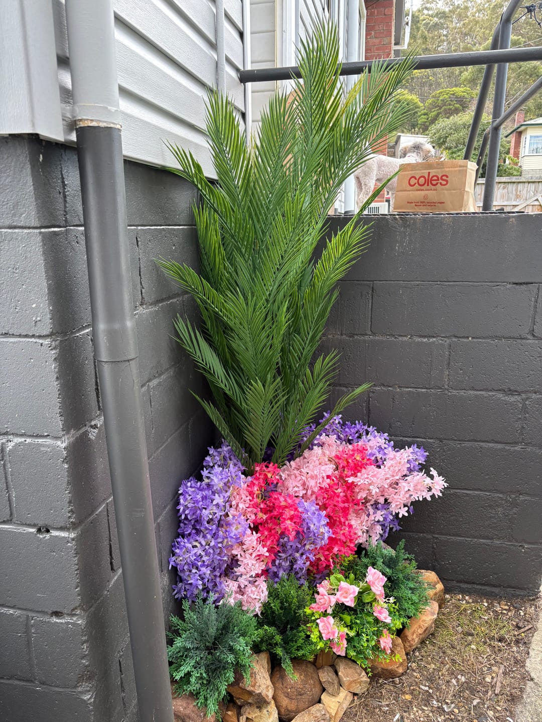Customer photo review of Real Touch Artificial Phoenix Palm Tree UV Resistant 180cm