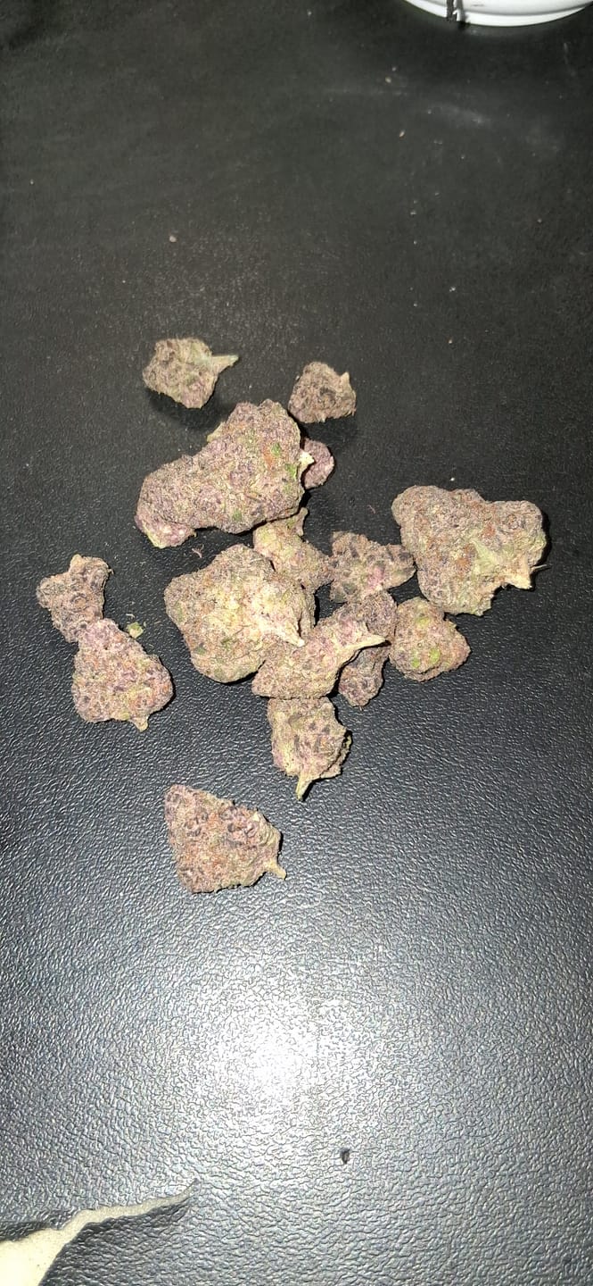 Customer photo review of Super Buff Cherry (Indoor) - THCA Flower