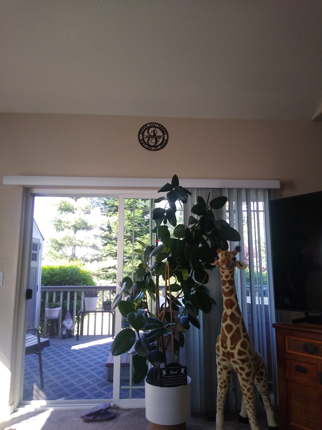 Customer photo review of Elaborate Name - Steel Sign