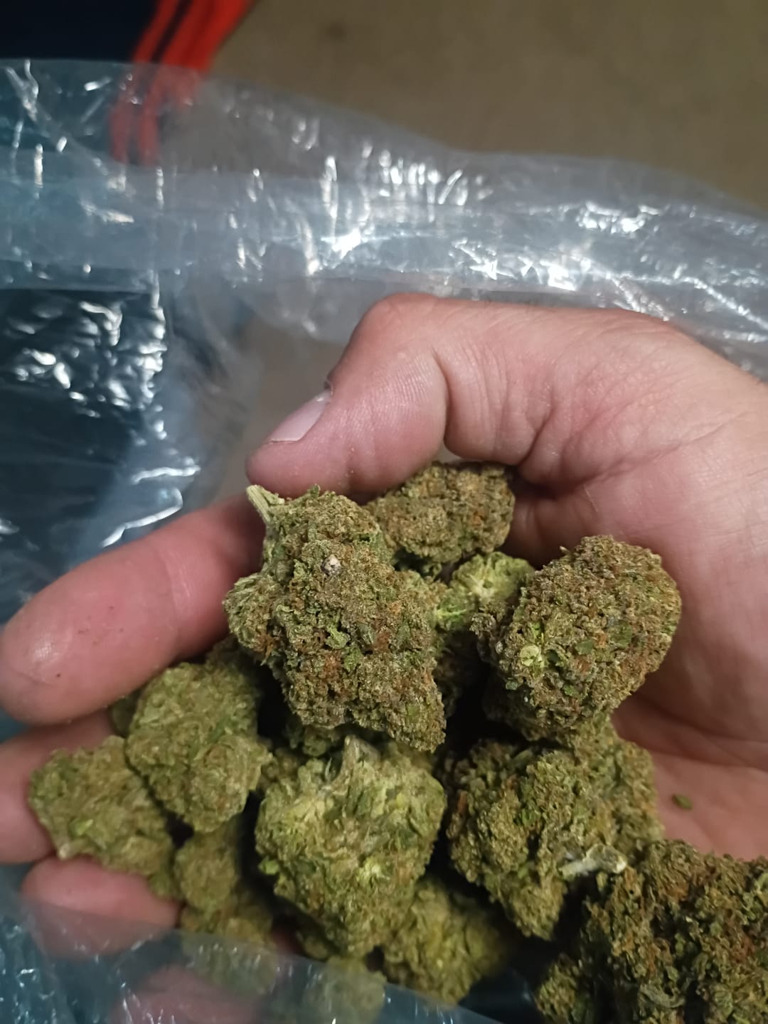 Customer photo review of Gotti OG THCA Don Flower