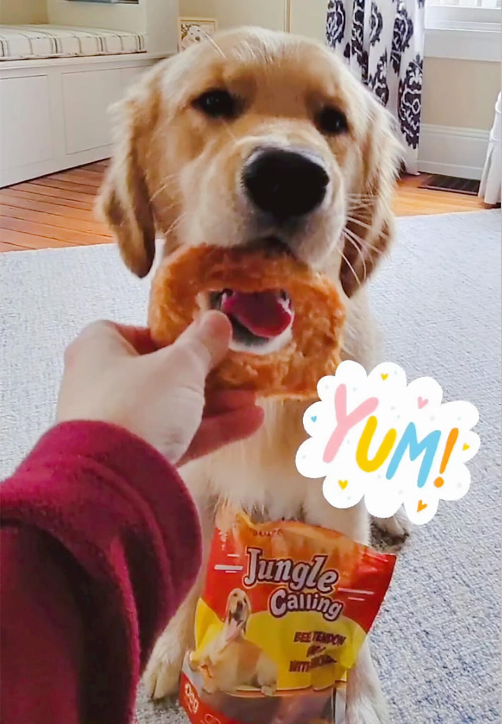 Customer photo review of Beef Tendons for Adult Dogs, Chicken Wrapped Tendons Dog Chews Long Lasting Hip and Joint Supplement for Dogs with Glucosamine (Ring)