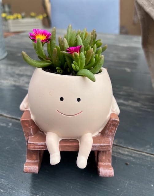 Customer photo review of Infinity™ Plant Pot