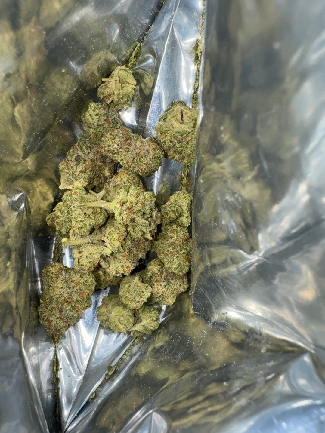 Customer photo review of Kinglato THCA Flower