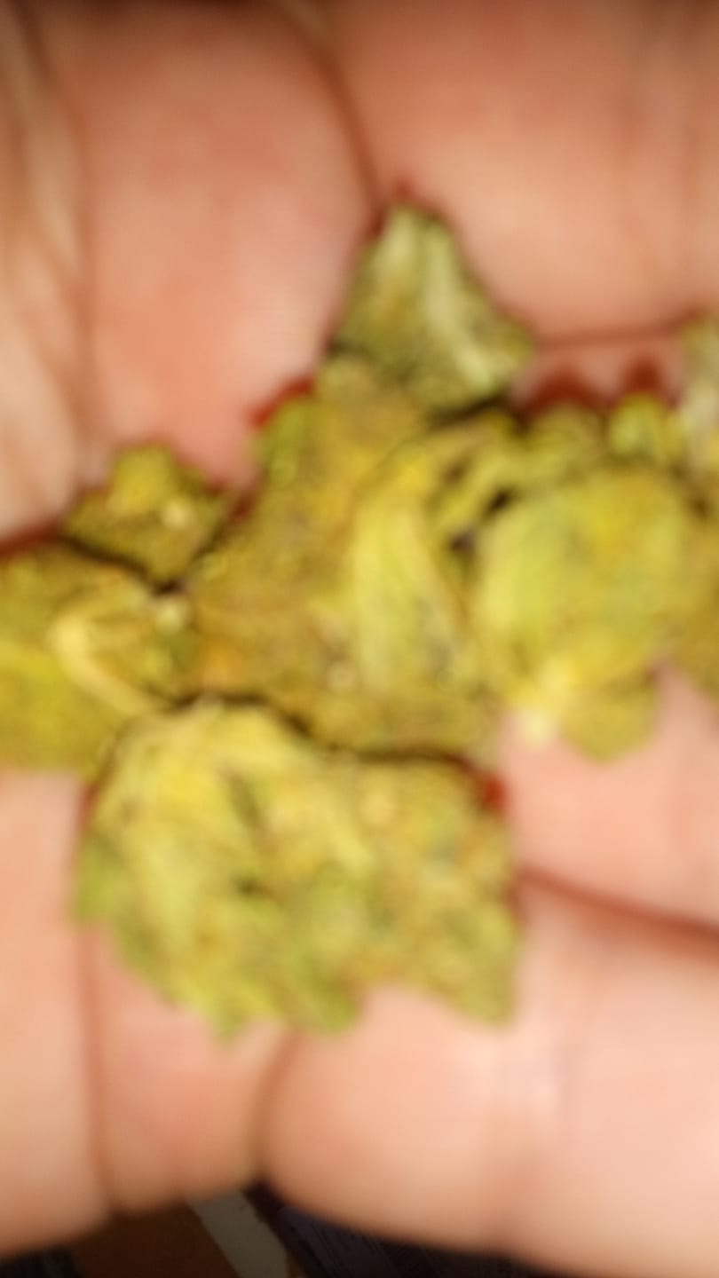 Customer photo review of Blueberry Zkittlez - 28 Grams - Indica
