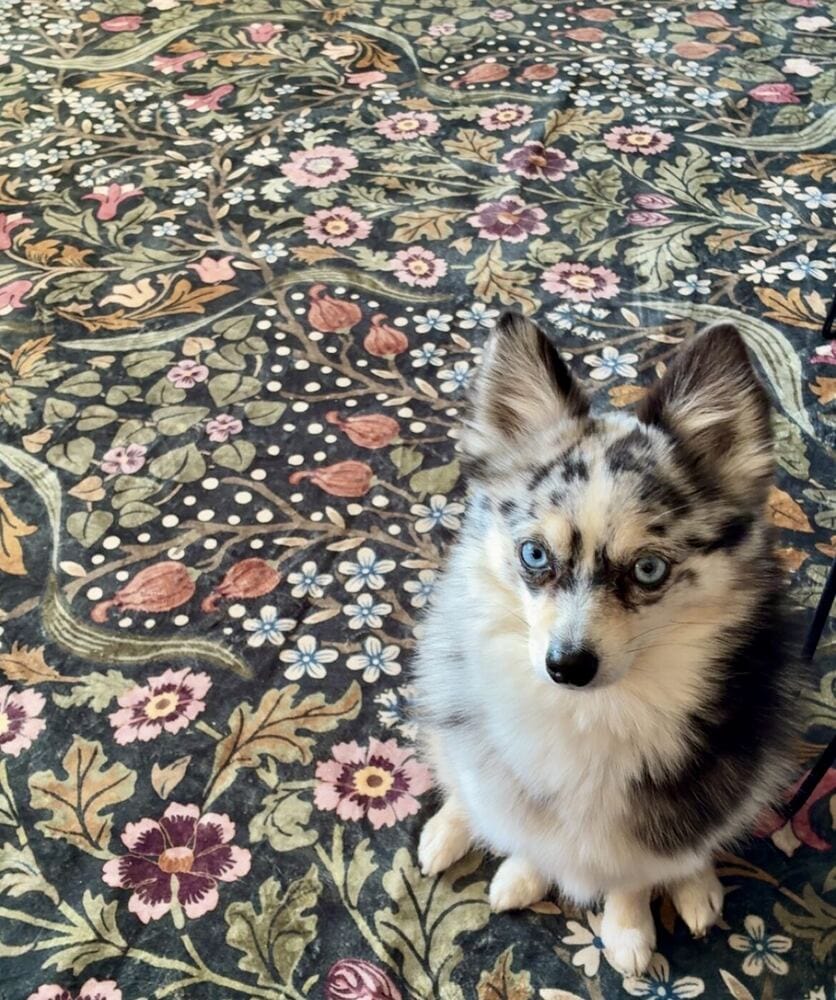 Customer photo review of Rug – Maximalism Vibrant Blossom Floral – Forest Fern