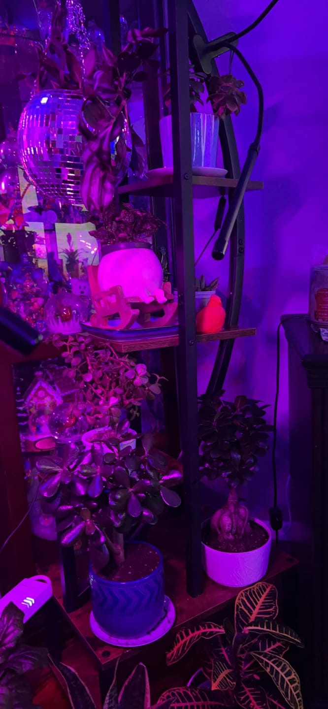 Customer photo review of Infinity™ Plant Pot
