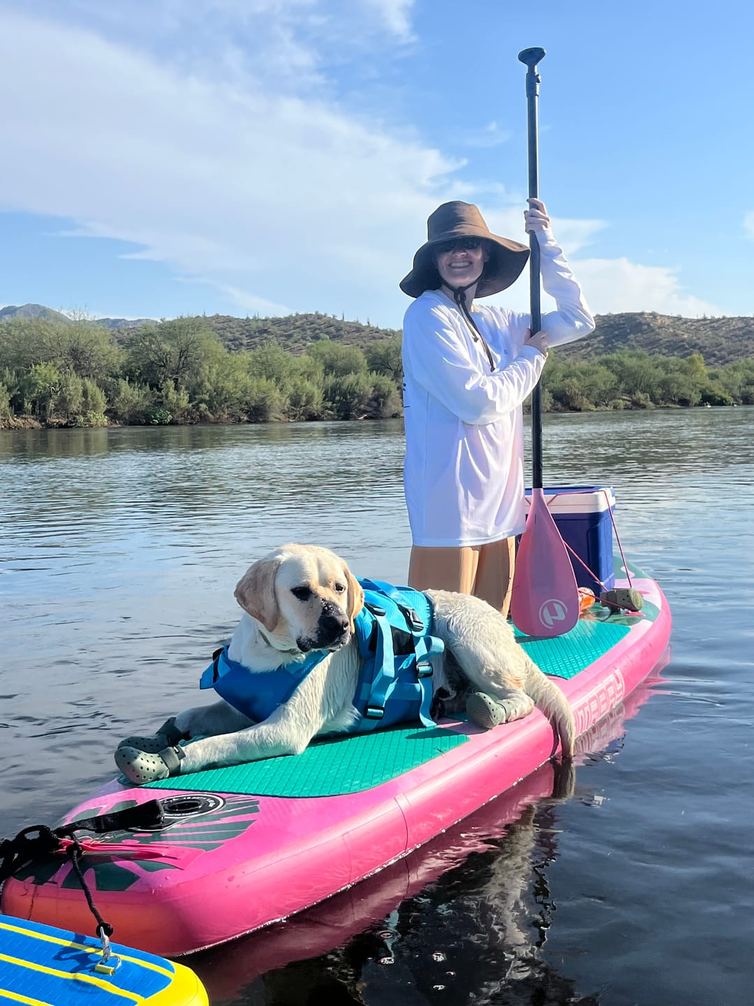 Customer photo review of WagWellies® Mojave