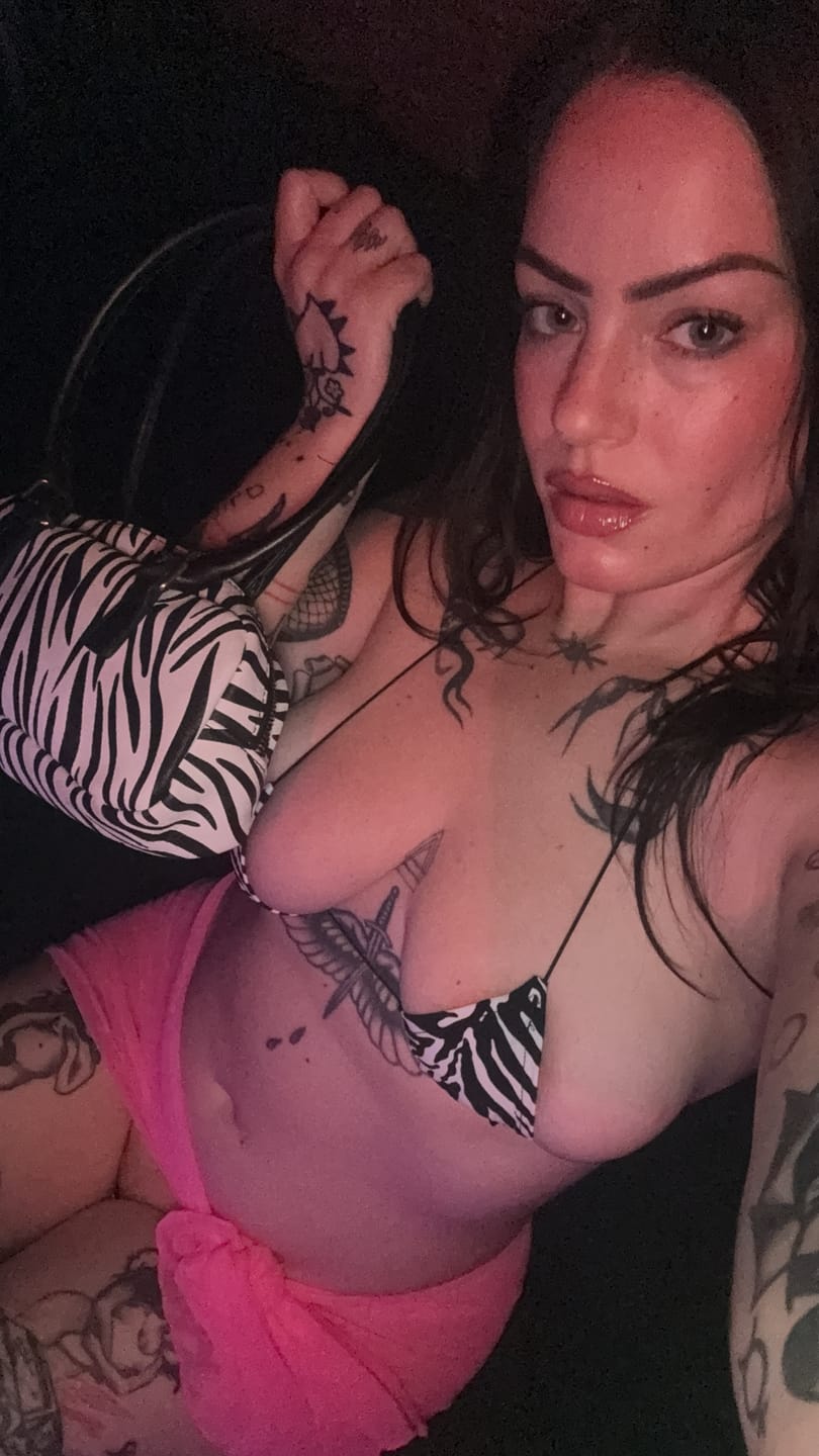 Customer photo review of ACE Microkini Set: Zebra