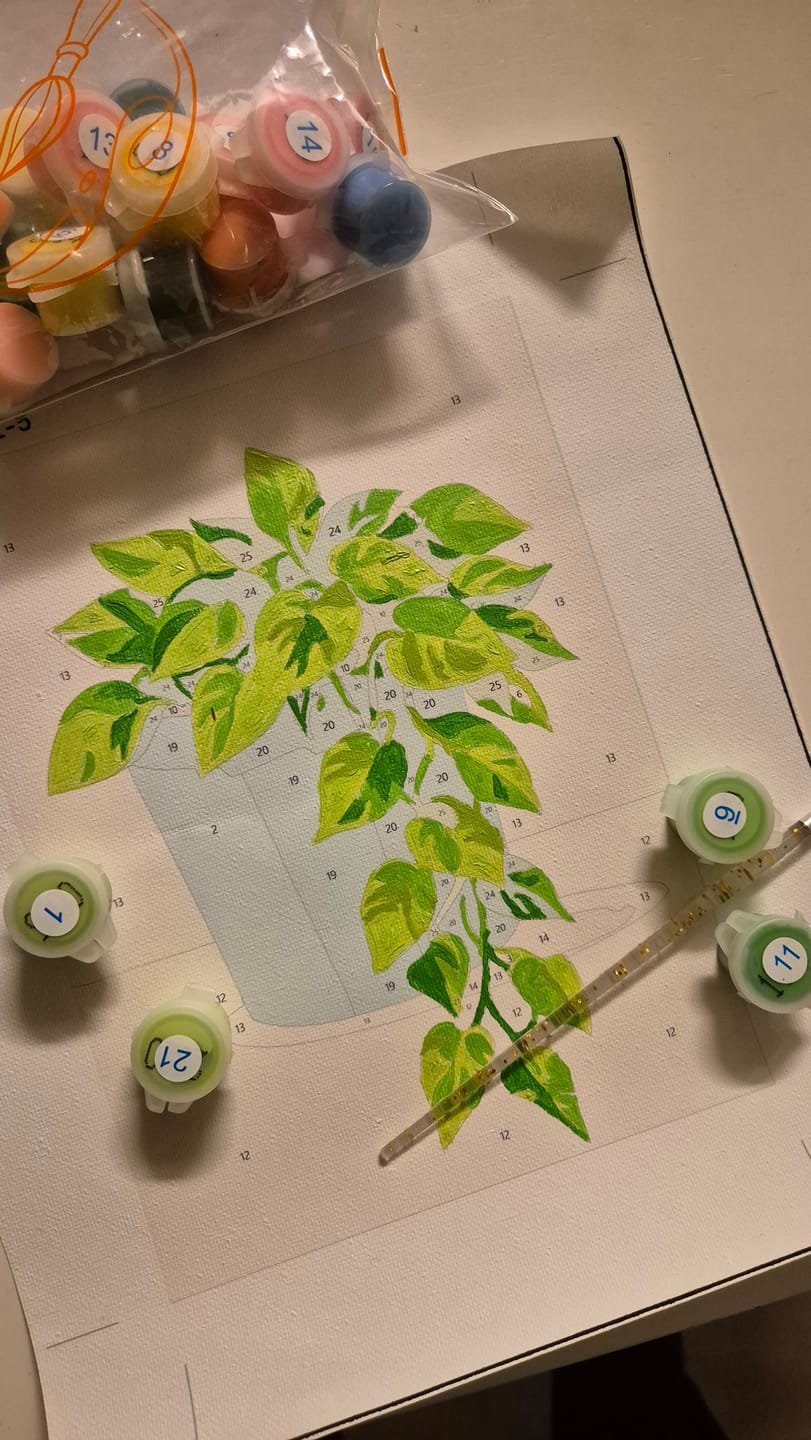 Customer photo review of 6 Mini Paintings - Beautiful Plants Set