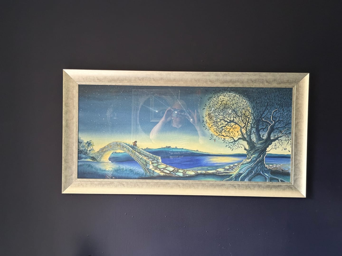 Customer photo review of Over The Moon By Catherine Stephenson