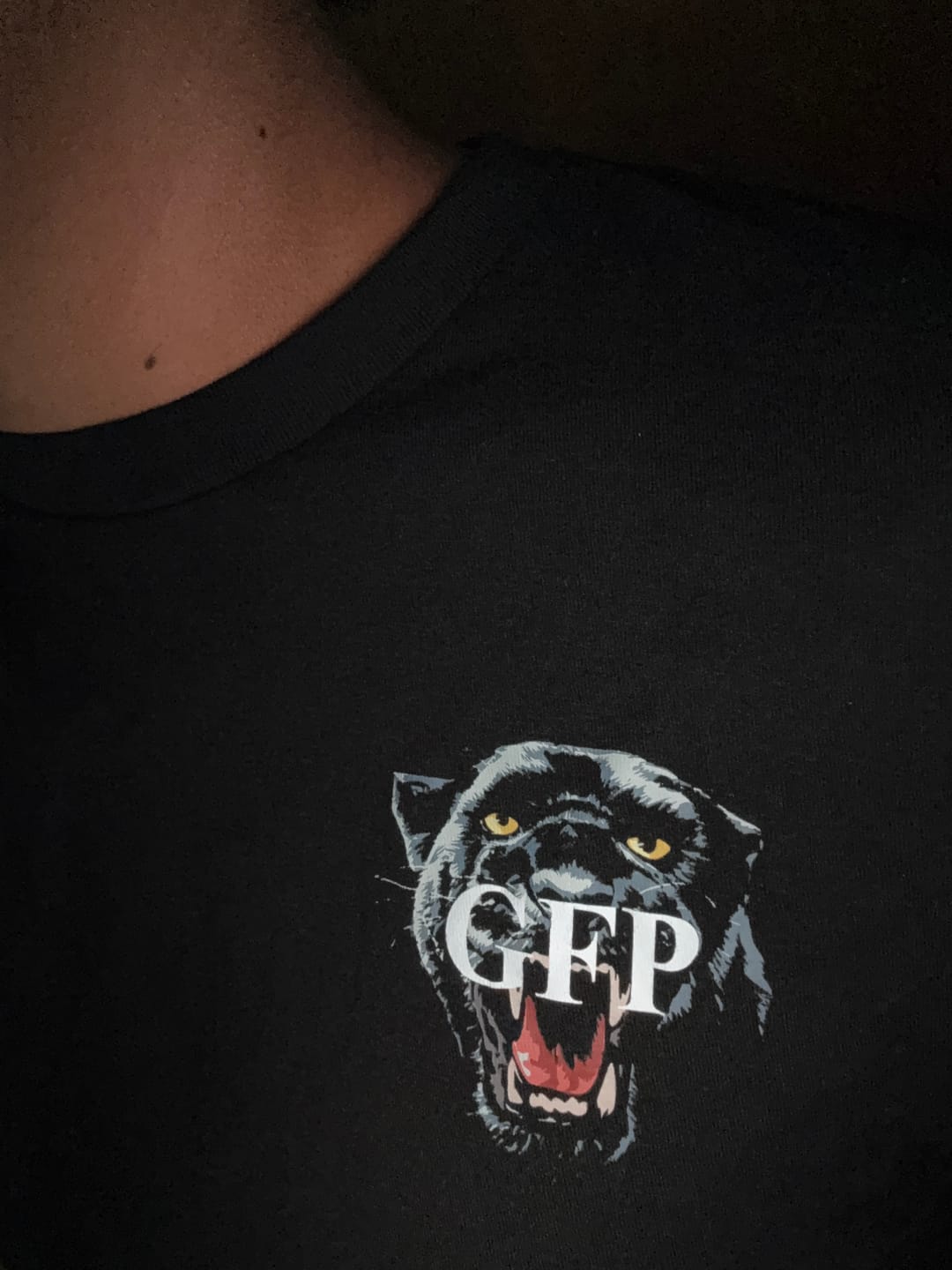 Customer photo review of SHIPPING PROTECTION