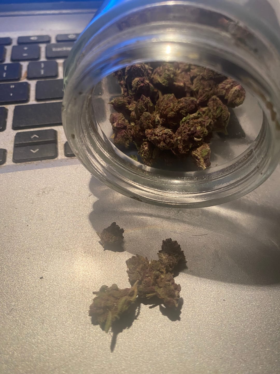 Customer photo review of Raspberry Kush MICROS - 28 Grams - Indica