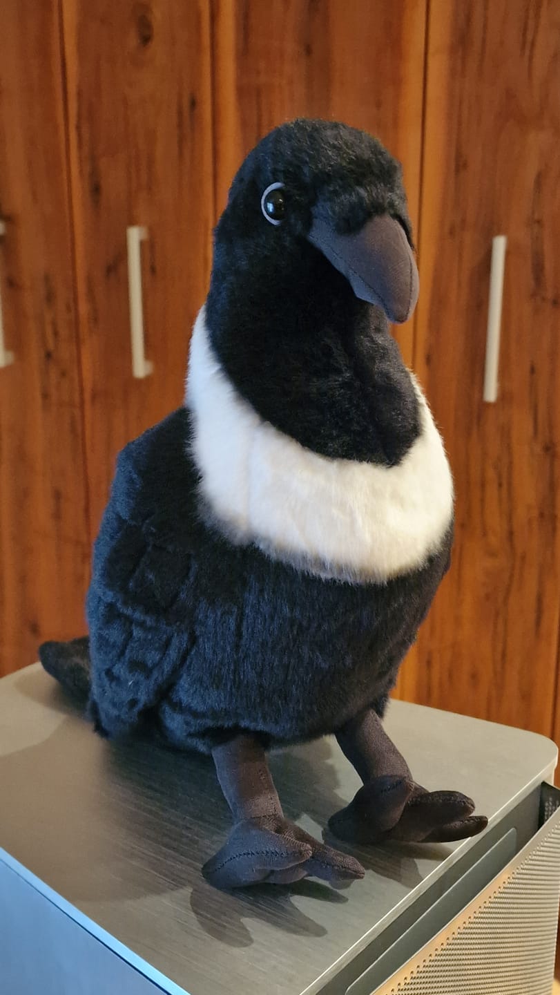 Customer photo review of Collared Crow Soft Stuffed Plush Toy