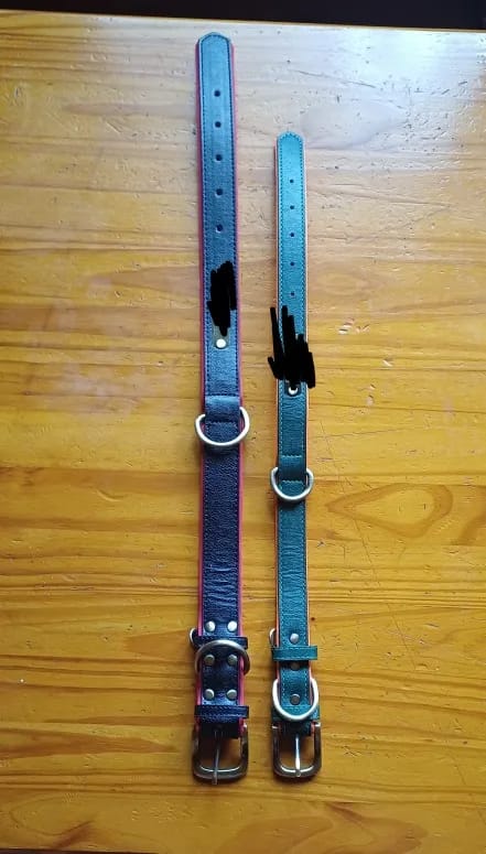 Customer photo review of Personalized dog collar, individually engraved PU leather dog collars, free engraving