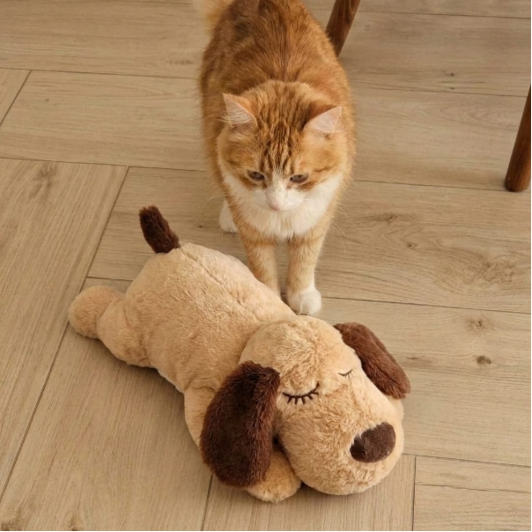 Customer photo review of Peluche con latidos para la ansiedad