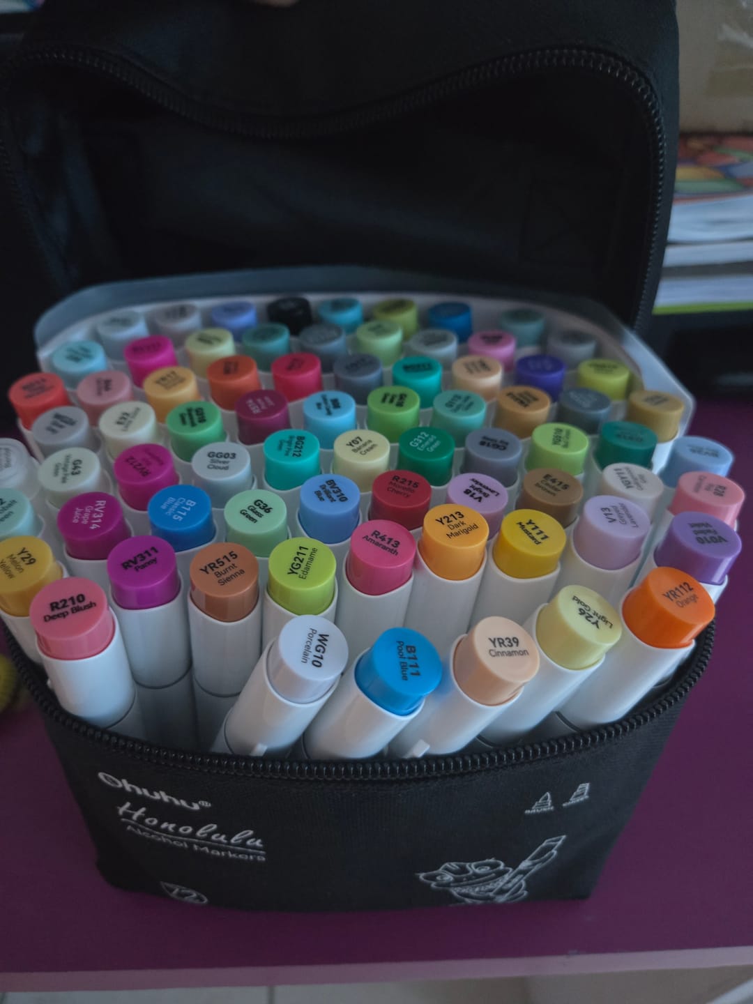 Customer photo review of Ohuhu Honolulu Brush Markers - Large Set