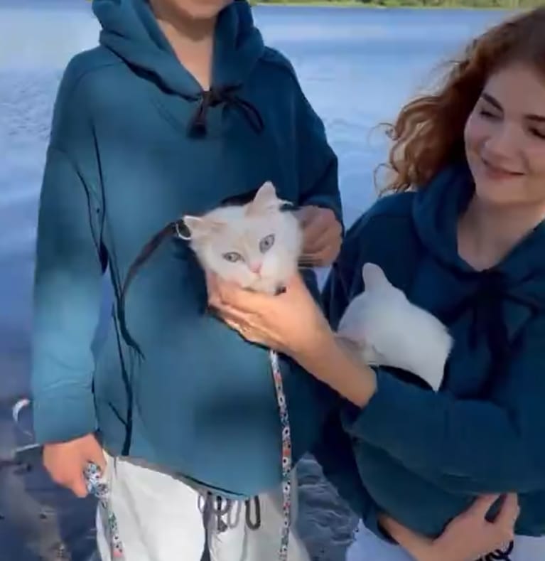 Customer photo review of Pet Peekaboo Pocket Hoodie
